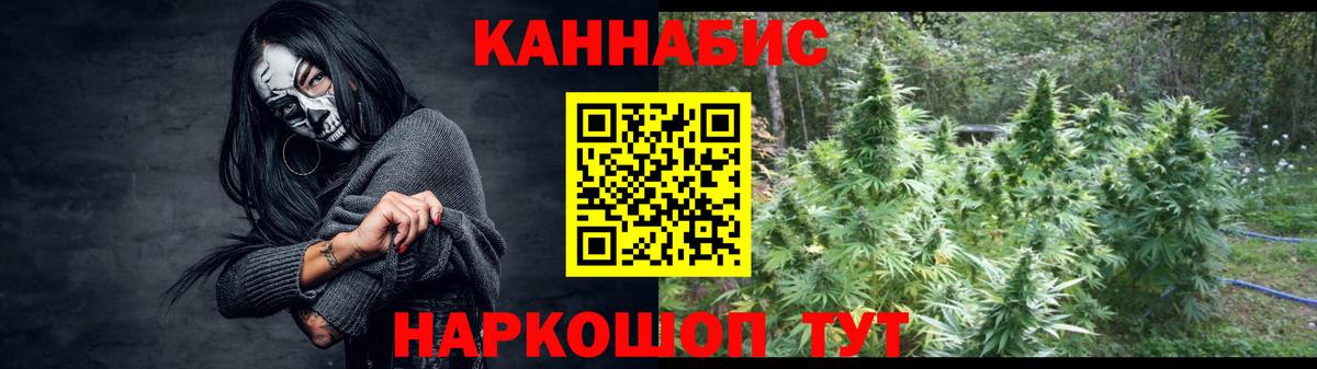 Бошки марихуана план  Канабис Bruce Banner  Кириши  Вход с VPN  Канабис гибрид  Каннабис Bruce Banner 