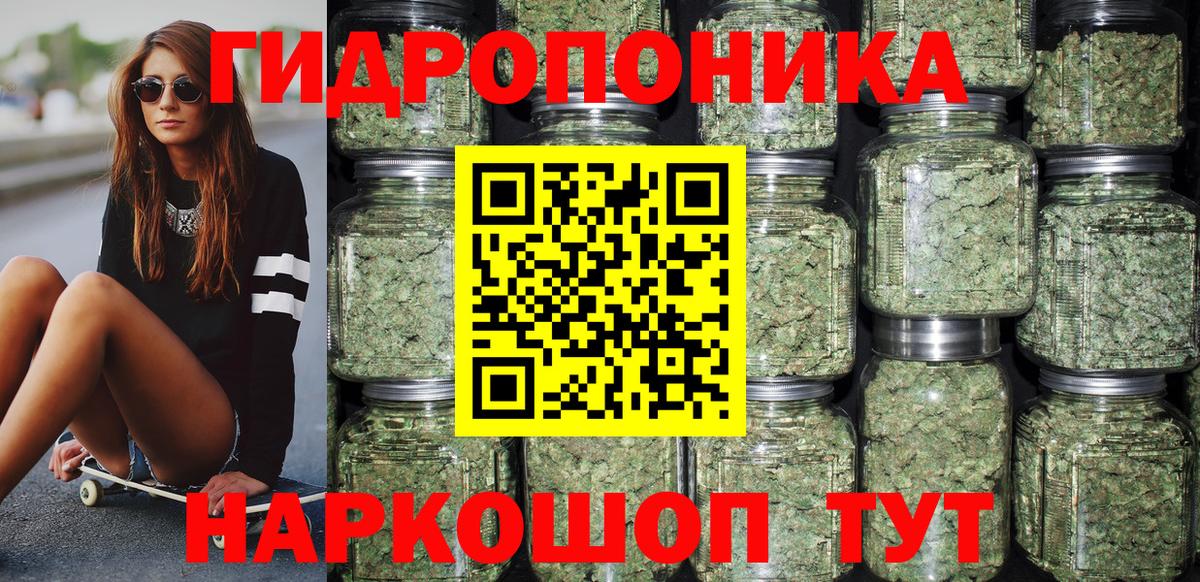 Каннабис ГИДРОПОН Кириши